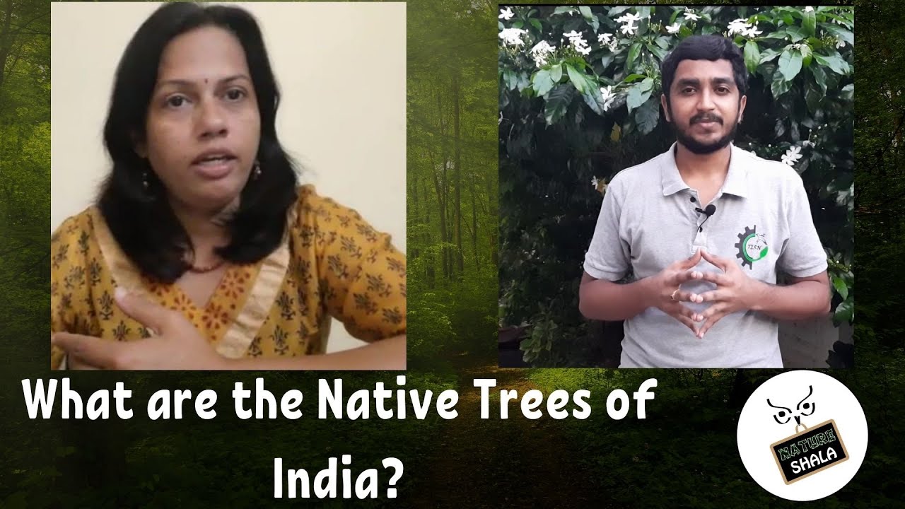 What and Why of the Native Trees of India | देसी वृक्ष का महत्व | Nature Shala