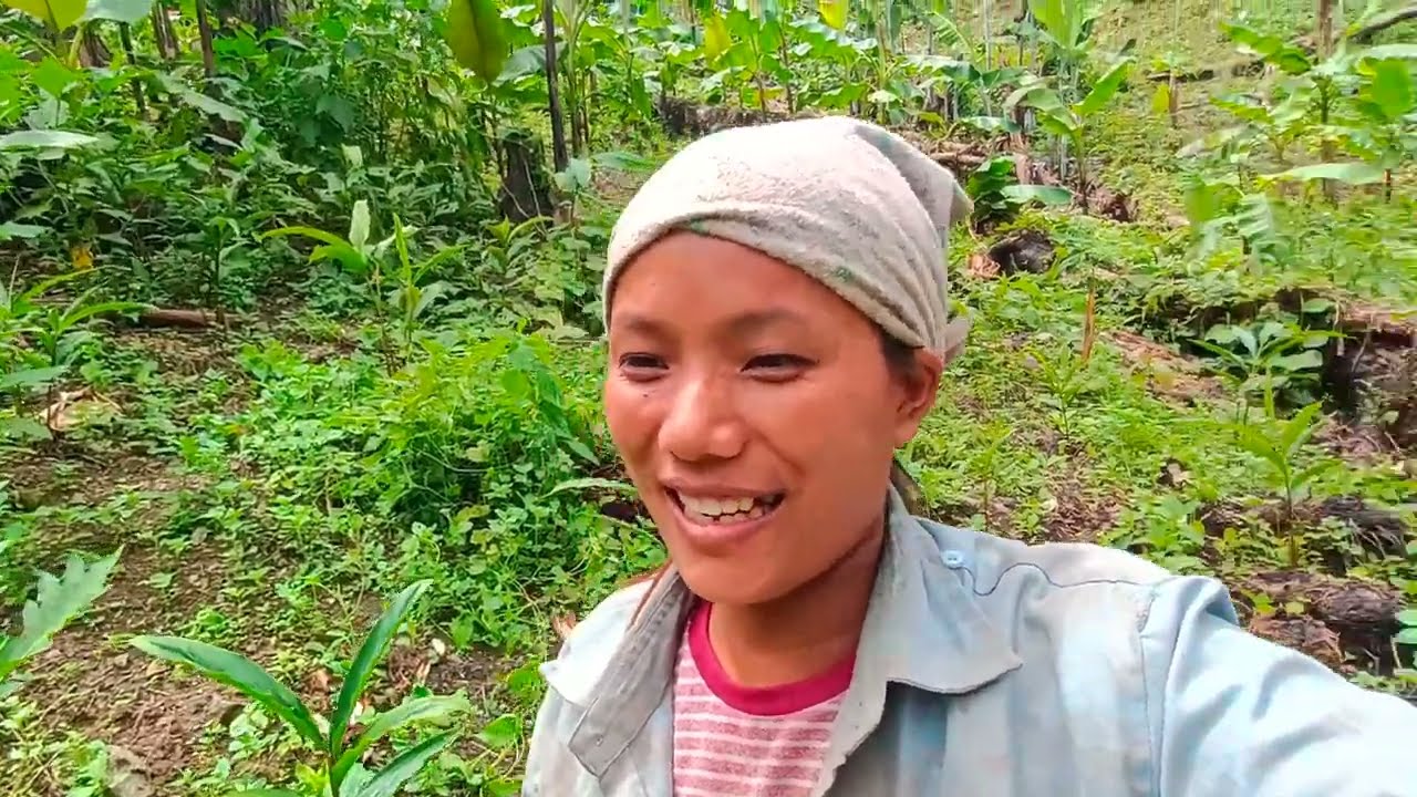 Elaichi Kheti Cleaning 😊||Cardamom plantation In Arunachal Pradesh 
