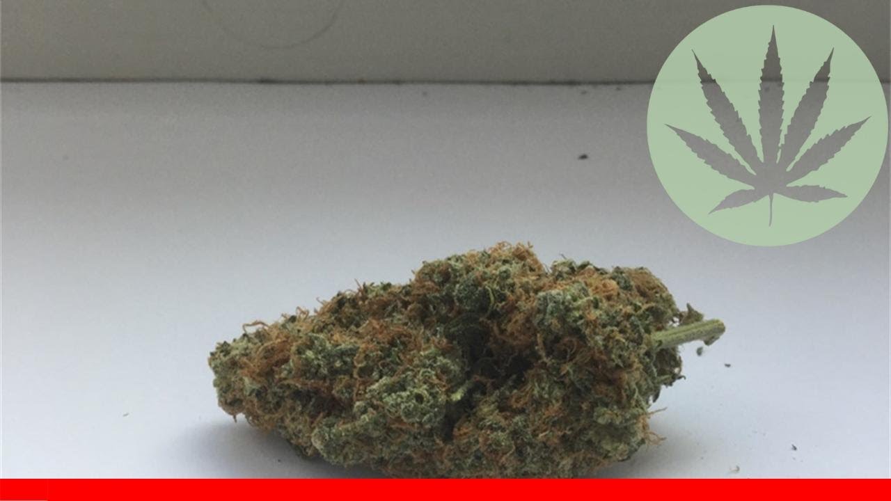 White Kush - All About This Strain