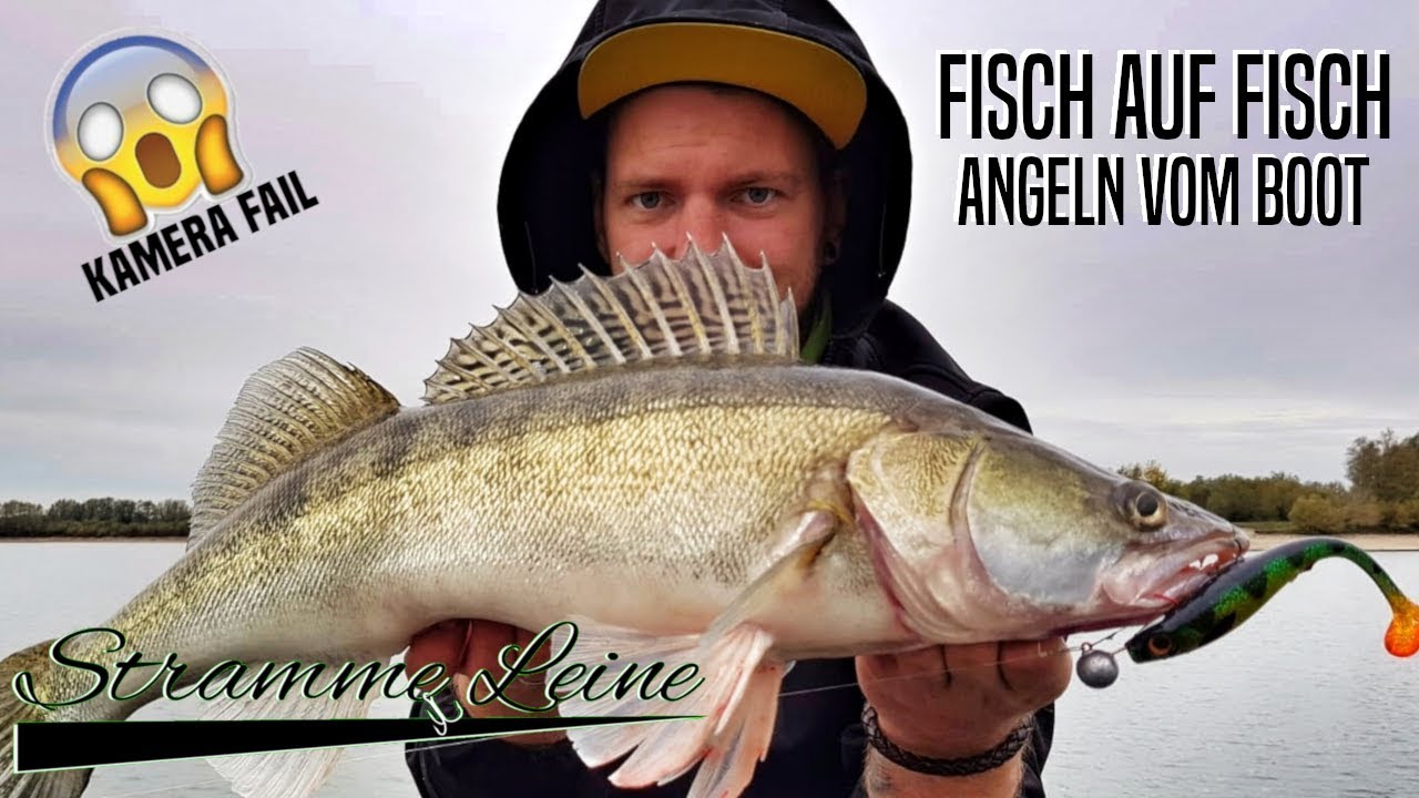 Angeln auf Barsch und Zander - Bootsangeln in Holland