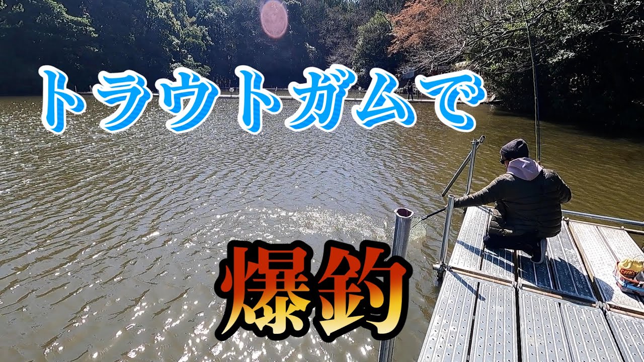 トラウトポンドでガム無双