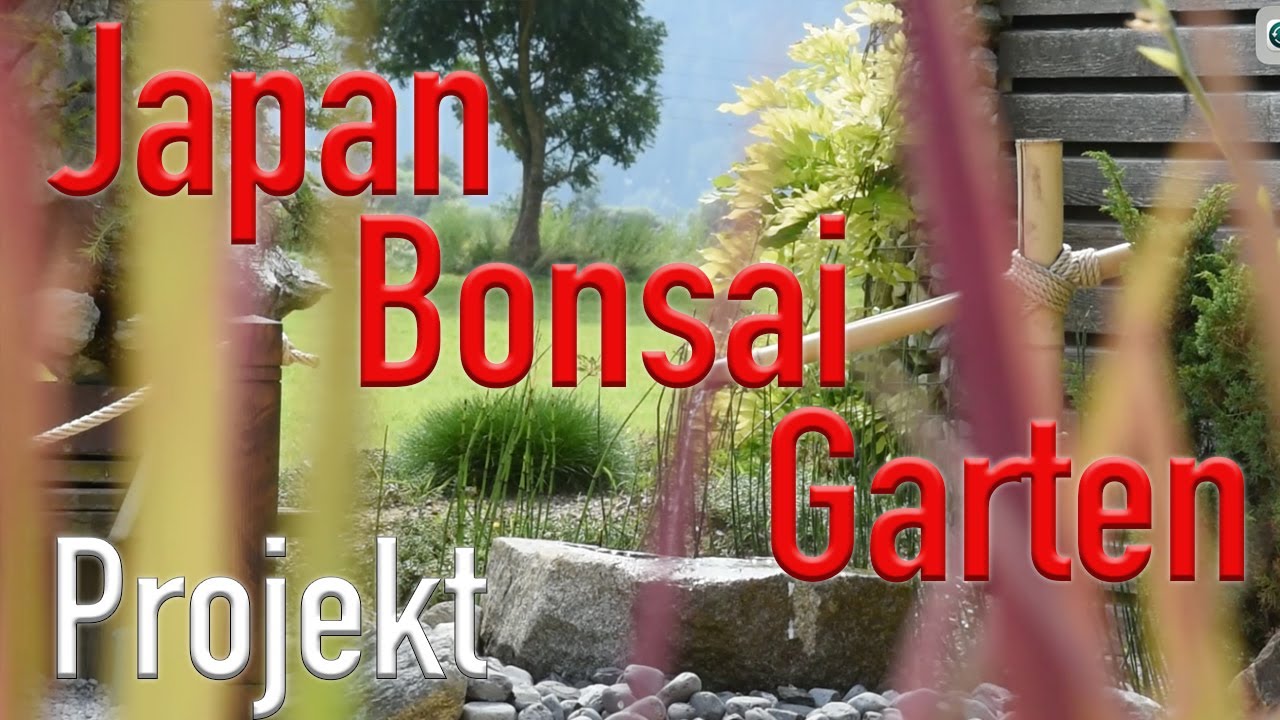 Mein japanischer Traum - Bonsai - Garten mit schönem Koi - Teich. Mein großer Umbau!