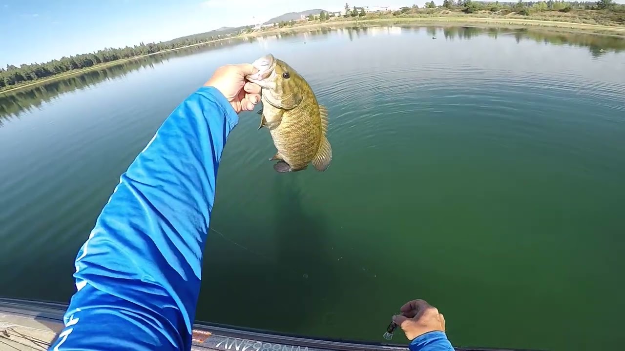 Clear water Smallie