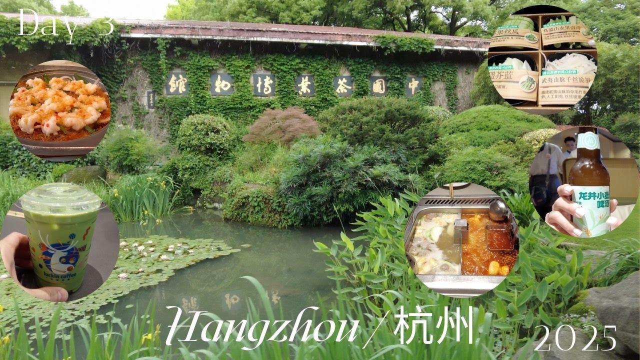 🇨🇳 Hangzhou / 杭州 - Day 3 (2025) [National Tea Museum, Mei Jia Wu Tea Village, Hai Di Lao Hot Pot]