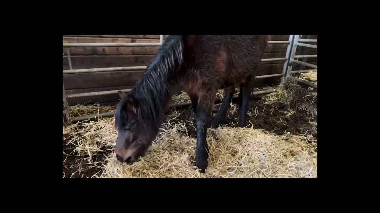 Interview with Great British Life 🇬🇧