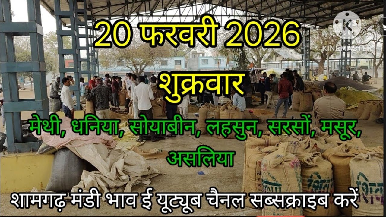 20 फरवरी 2026 शुक्रवार शामगढ़ मंडी भाव ,सभी फसलों की जानकारी