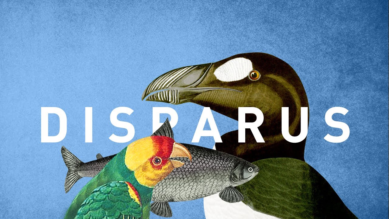 POURQUOI CES 3 ANIMAUX ONT DISPARU ? - Marius Raconte