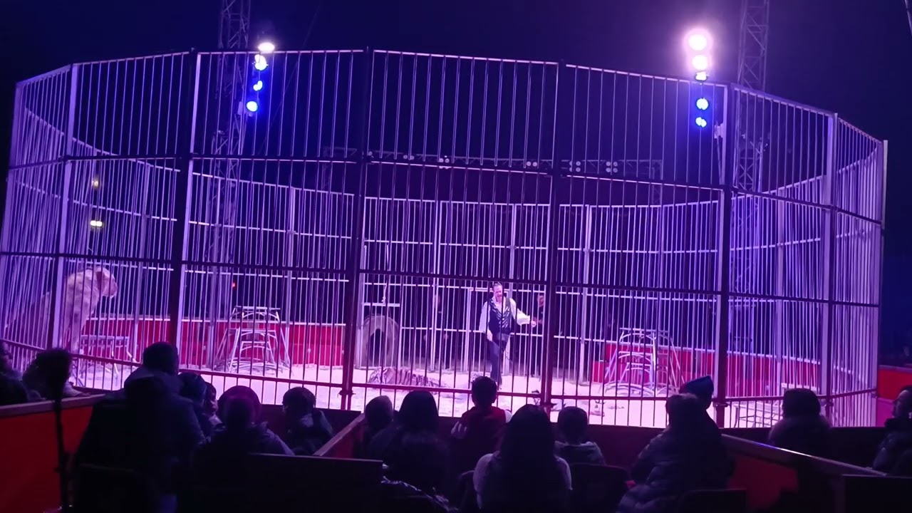 Circo Internazionale Happy Circus a Bari - Parte 10 Gennaio 2024