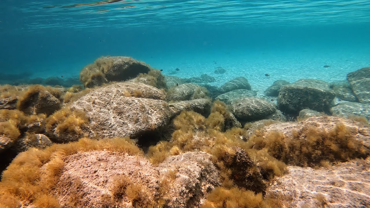 Underwater Landscape of Southern Corsica (SNORKELING)