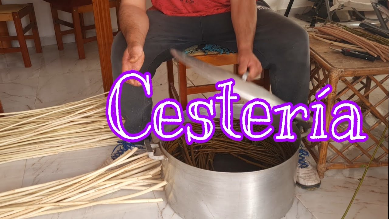 Canasta de Mimbre, cosecha, preparado y elaboración.