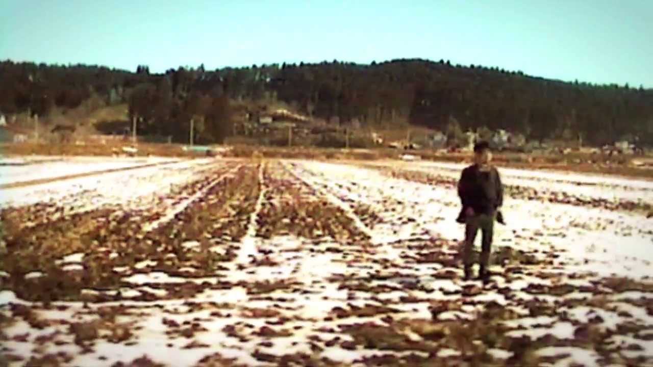 「旅の小町」伴瀬朝彦