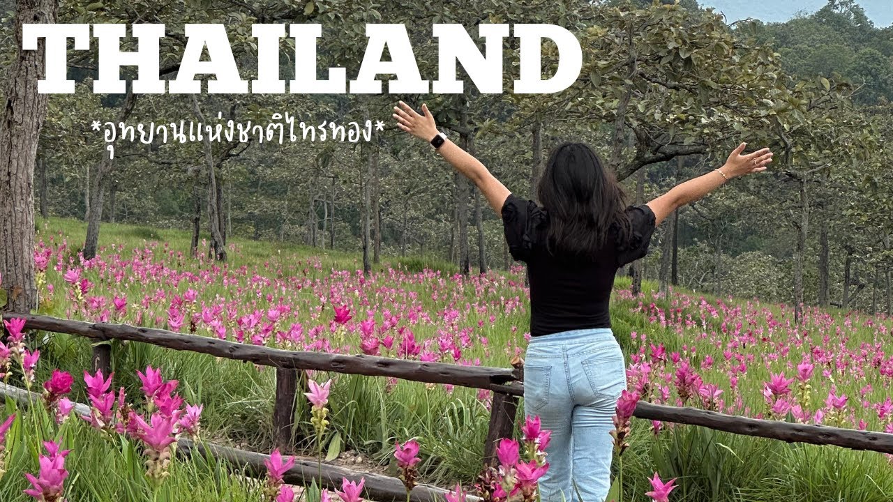 Last vlog of Thailand...