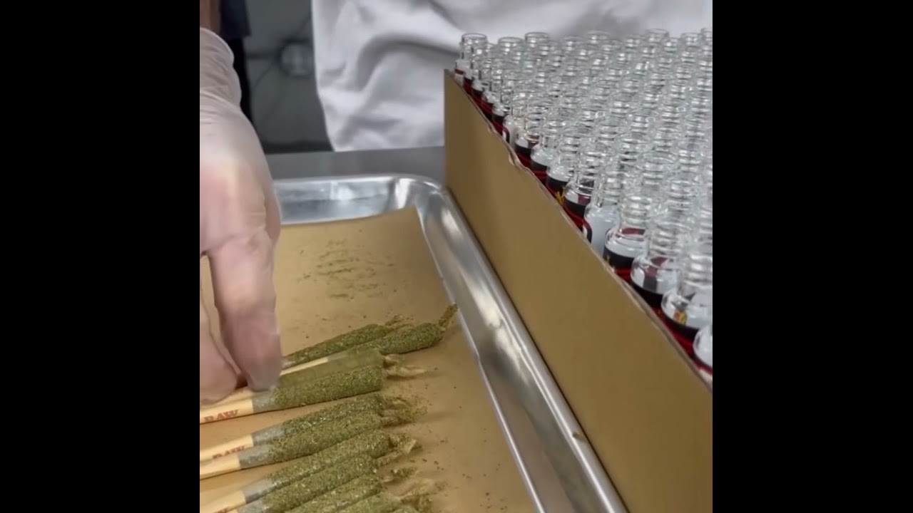 Wilfred Premium Infused Cannabis Prerolls