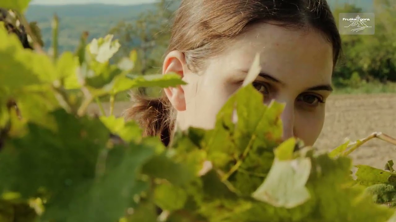 Irig - Srce Fruške gore | Vino, tradicija i priroda - Fruška gora - destinacija za sva čula