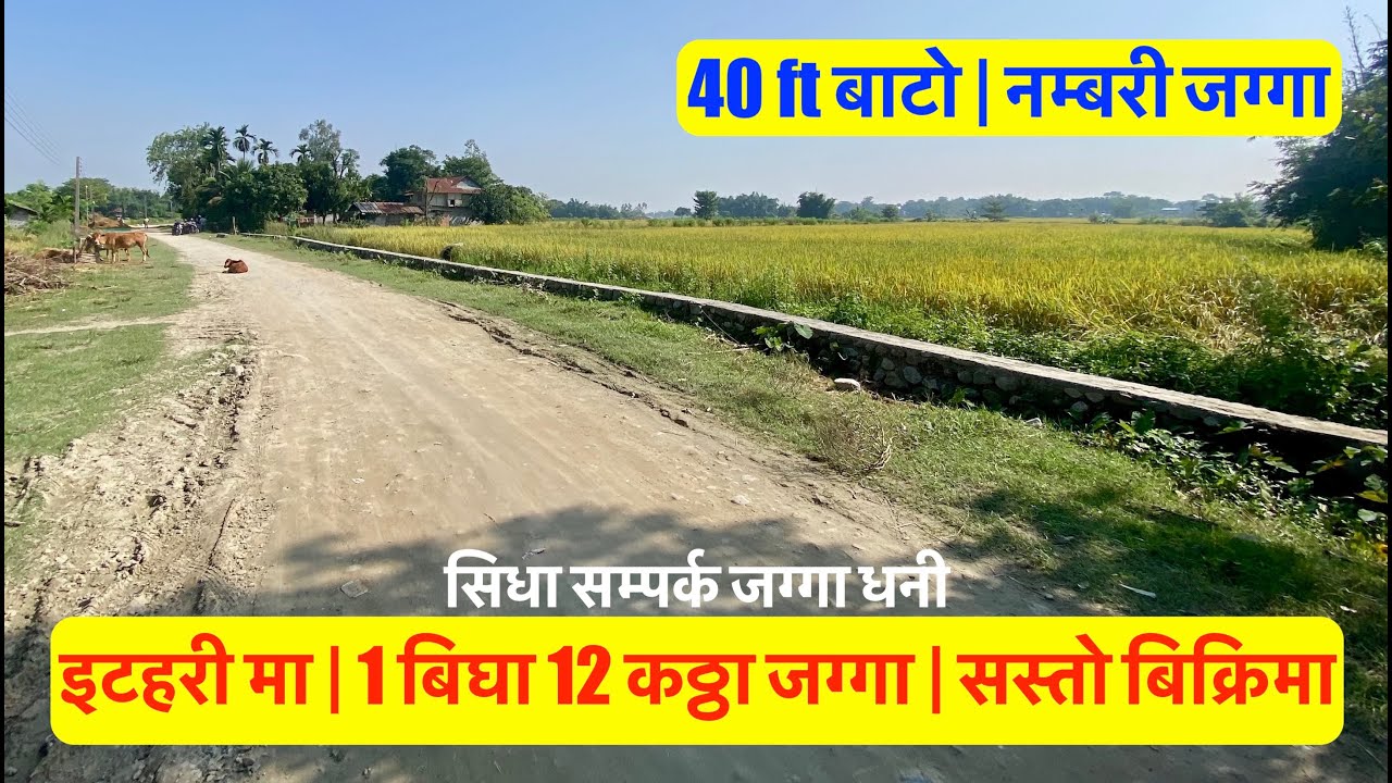 1 Bigga 12 Katha 1 Dhur| Agriculture land for sale in itahari nepal #bhubanthapa #property #forsale