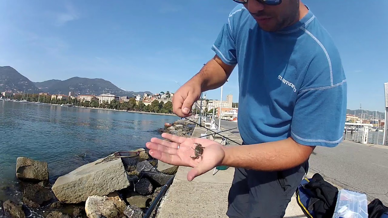 Pesca all'Orata: INNESCO DEL GRANCHIO e mangiate (sbagliate) in diretta