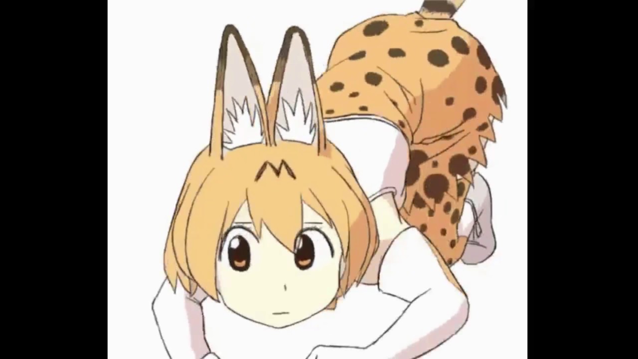 Gifs With Sound # 51