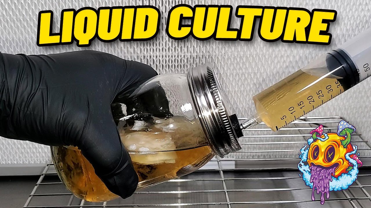 How To Turn 1 Spore Or Culture Syringe Into 30!!! | 30X Syringe Multiplier Kit Unboxing