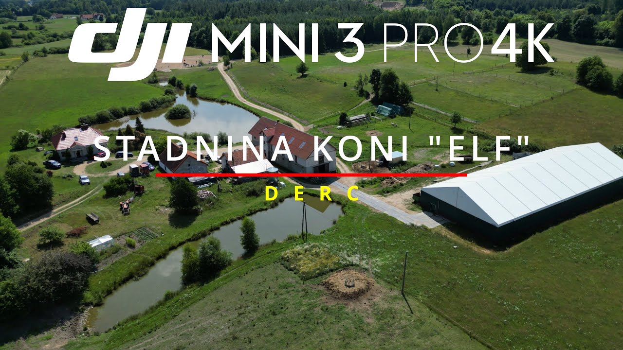 Stadnina Koni 
