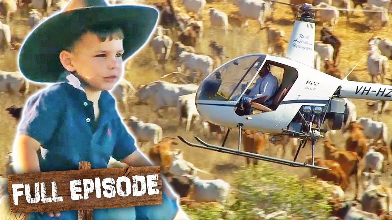 Знакомьтесь с семьёй, которая пасет скот с помощью вертолётов! 🚁 | «Идти в ногу со всей семьёй» (...