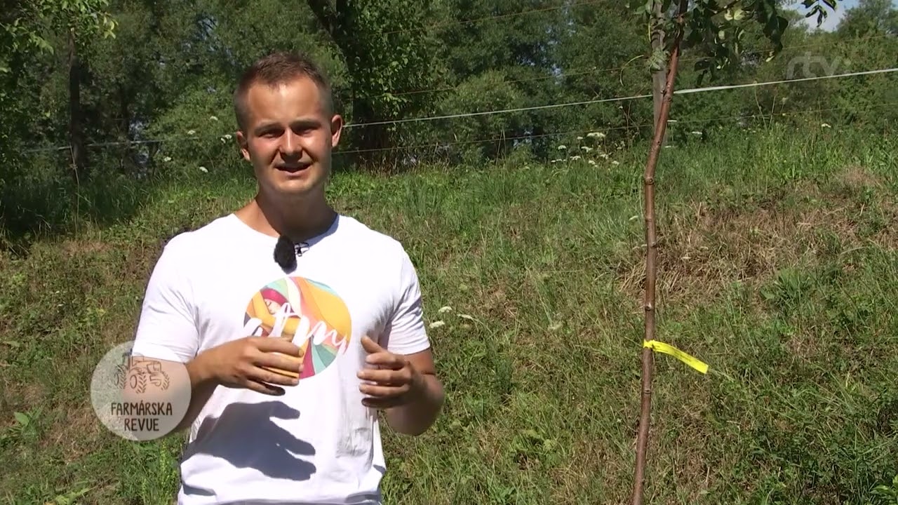 Rady do záhrady: KEDY JE VHODNÉ OBDOBIE PRE JESENNÚ VÝSADBU?