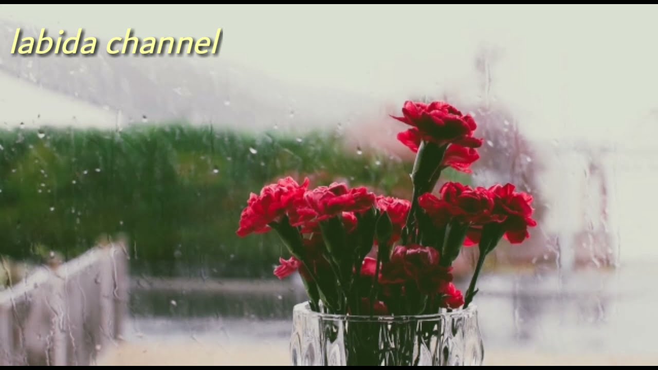 # فيديو_تحفيزي 💕 ماتخليش الماضي ديالك يؤثر على مستقبلك 💕Le passé n'affecte pas votre avenir