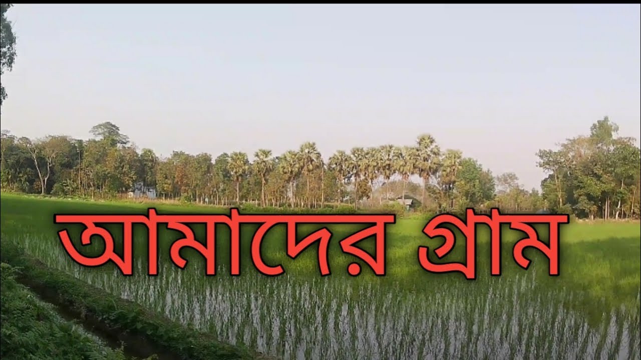 আমাদের গ্রাম। আমাদের গ্রাম,আমাদের গ্রাম ও প্রকৃতি #গ্রাম  #viral #vlog