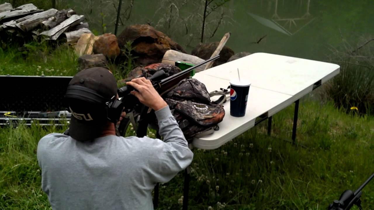 Browning semi-auto 300 win mag.