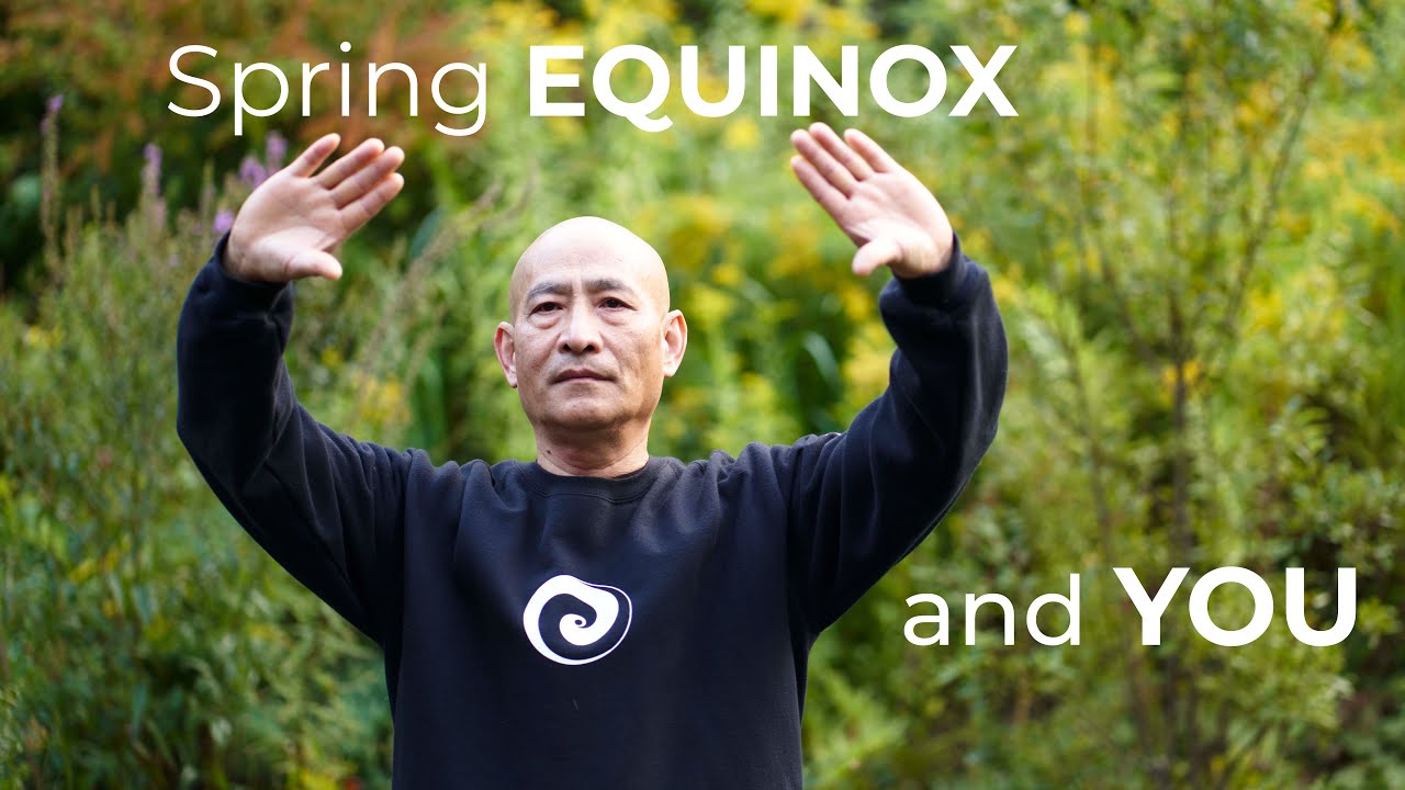 What's Springs Consciousness?