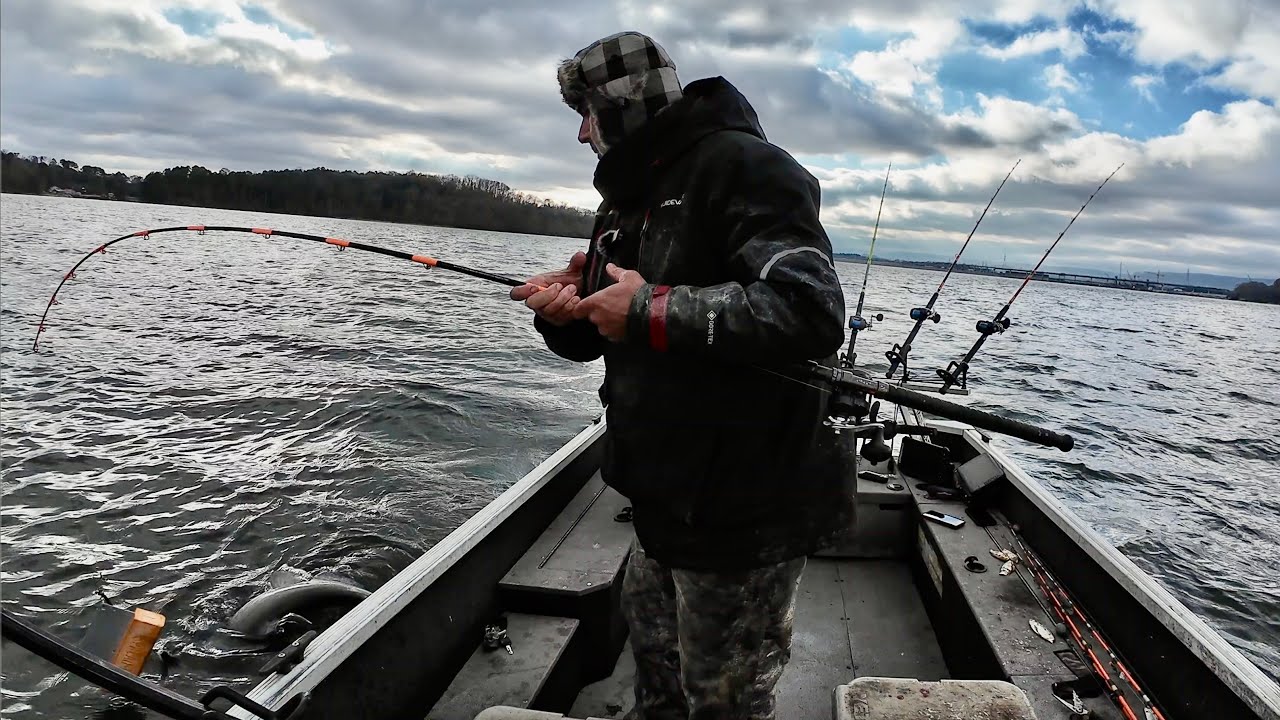When A Bad Trip Gets Saved By A Monster Fish
