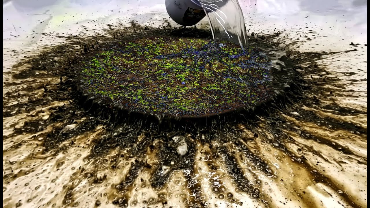 From Dark and Dirty to Bright Again – Rug Revival