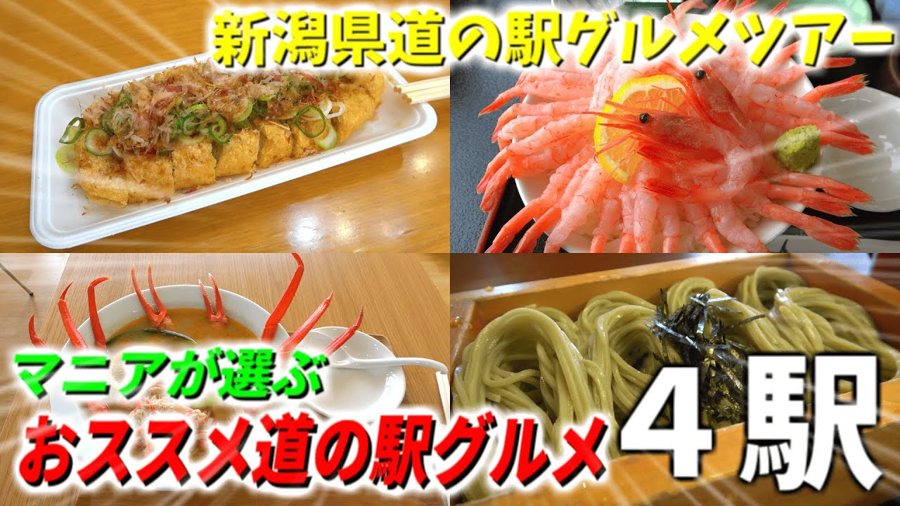 【新潟観光】これを見れば新潟県のグルメが分かる！新潟屈指の激ウマグルメを堪能できる道の駅4選！【正直レビュー】