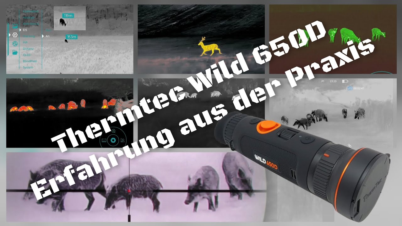 ThermTec Wild 650D|Erfahrung|Praxis|Jagd|Thermalhunting