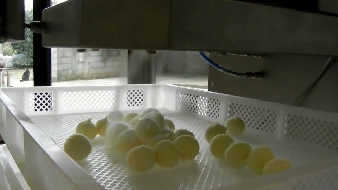 Sandore Extrusion Depositor Systems- Industrial Filled Gnocchi Production BS1
