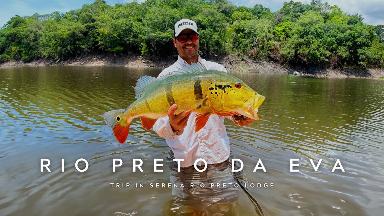 Fishing Experience Amazônia (Serena Rio Preto Lodge)
