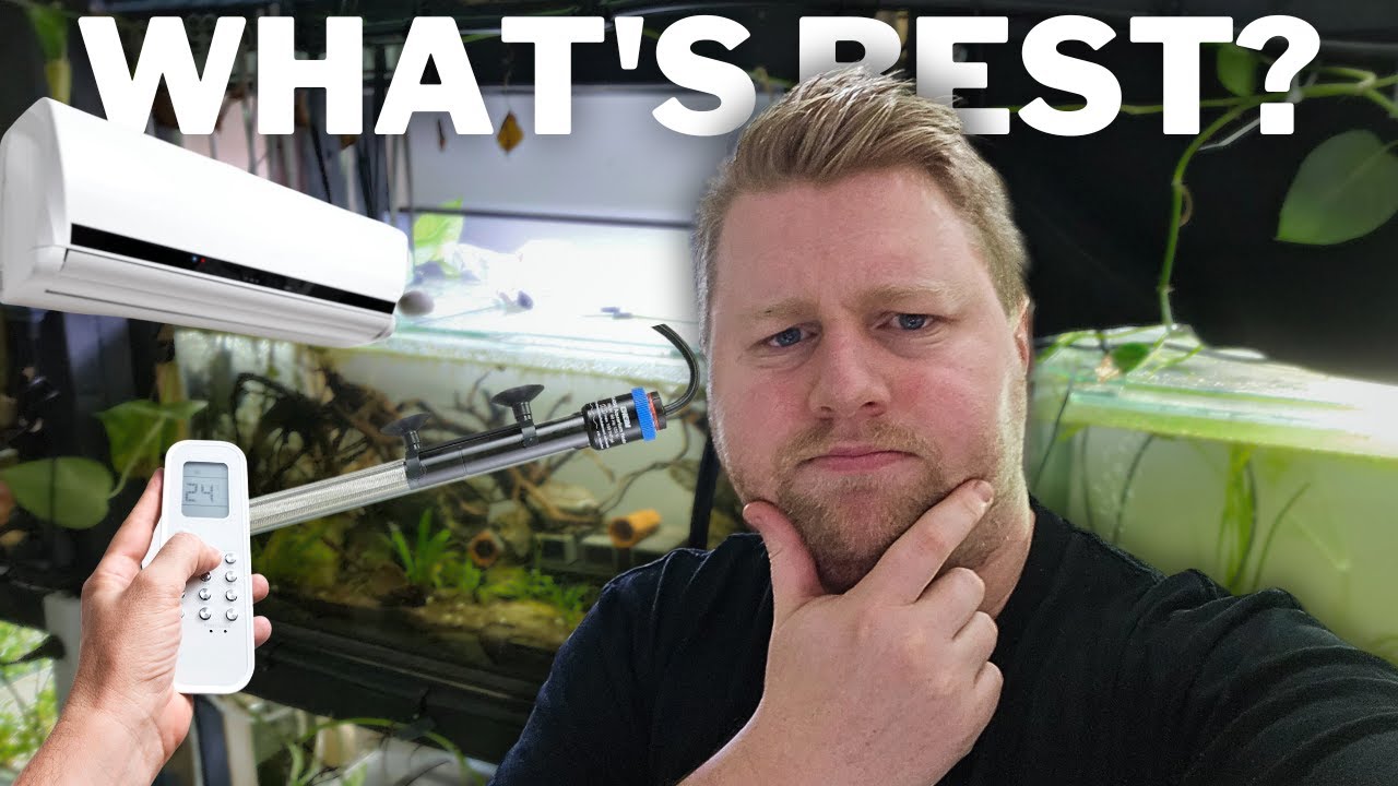 Aquarium Heaters vs Heating the Room: Which Method is Best/ Cheapest