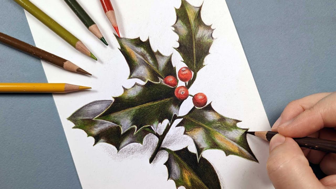 How to Draw Holly Leaves - Christmas Colour Pencil Drawing