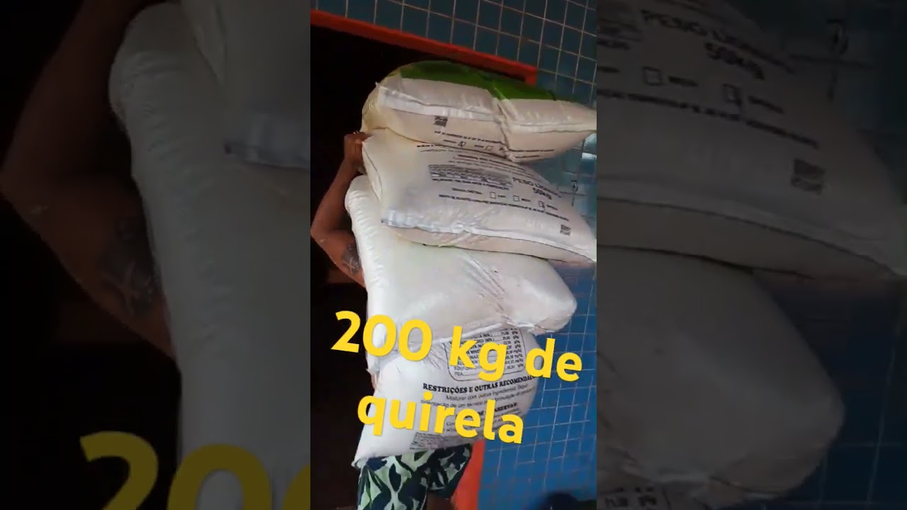 Descarga de quirela , ra&ccedil;&atilde;o e milho #shorts
