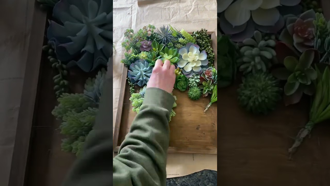 DIY Succulent Wall Art