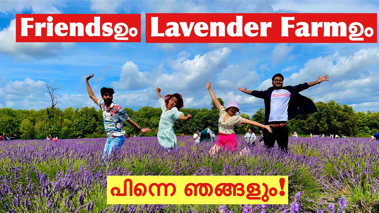 Day out in Mayfield Lavender farm// Funtime with friends//Eat out in Croydon💜