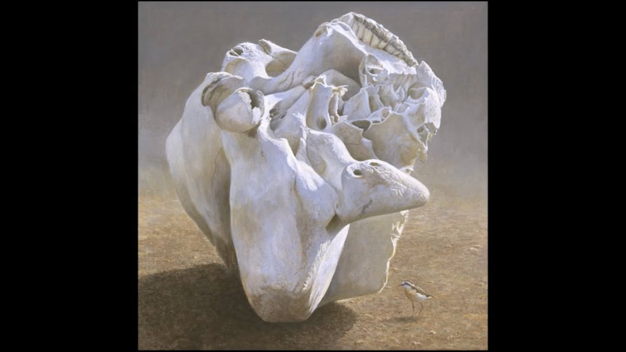 #119 - Elephant Skull and Kittlitz's Plover by Robert Bateman