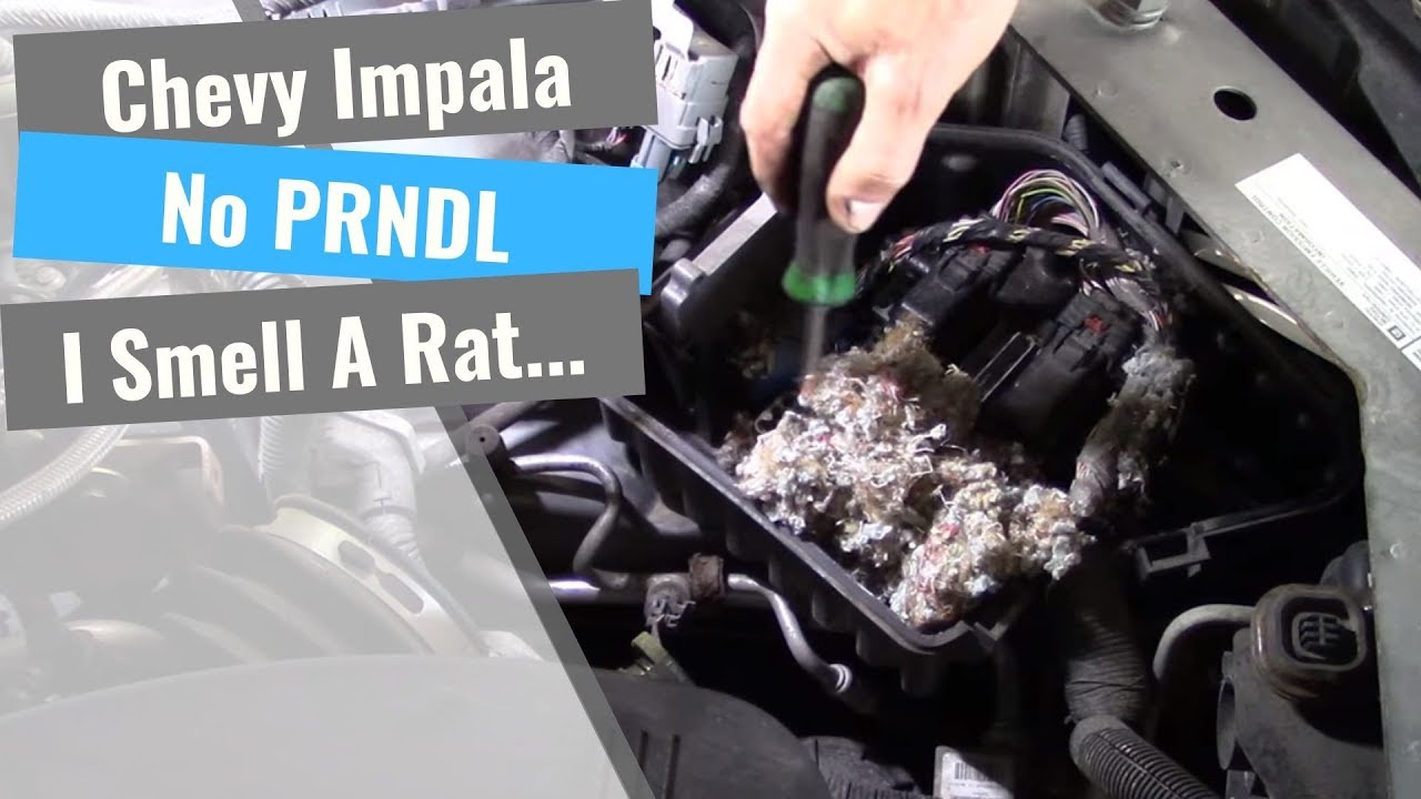 Chevrolet Impala: No PRNDL Display