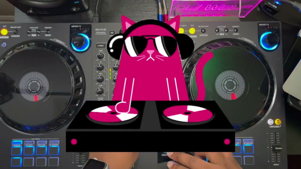 Hip Hop Mix 2023 🔥 Hip Hop & Rap Party Mix New School By Dj Wolf