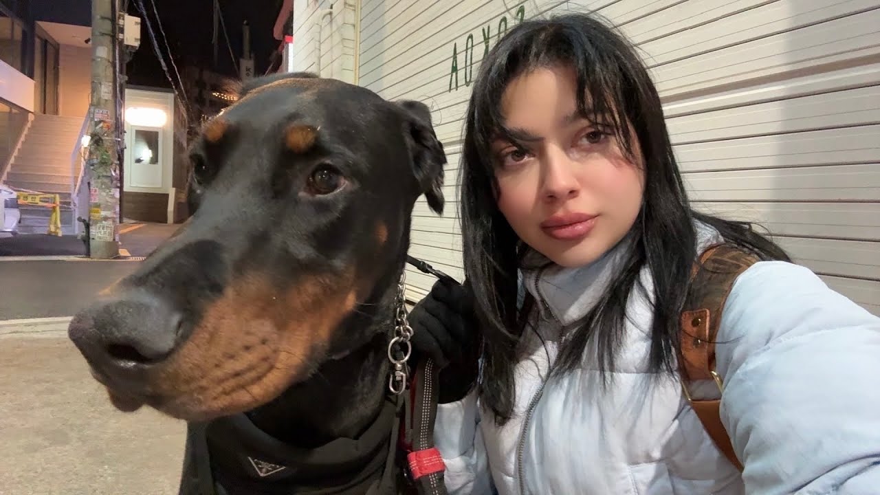 لايف في شوارع هونغداي كوريا 🇰🇷🩵 مع ويسكي 🐕