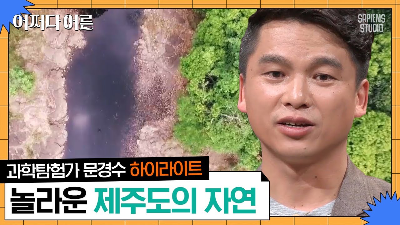 흙이 없는데도 나무가 자란다? 제주의 신비로운 허파 곶자왈 | #어쩌다어른 #사피엔스