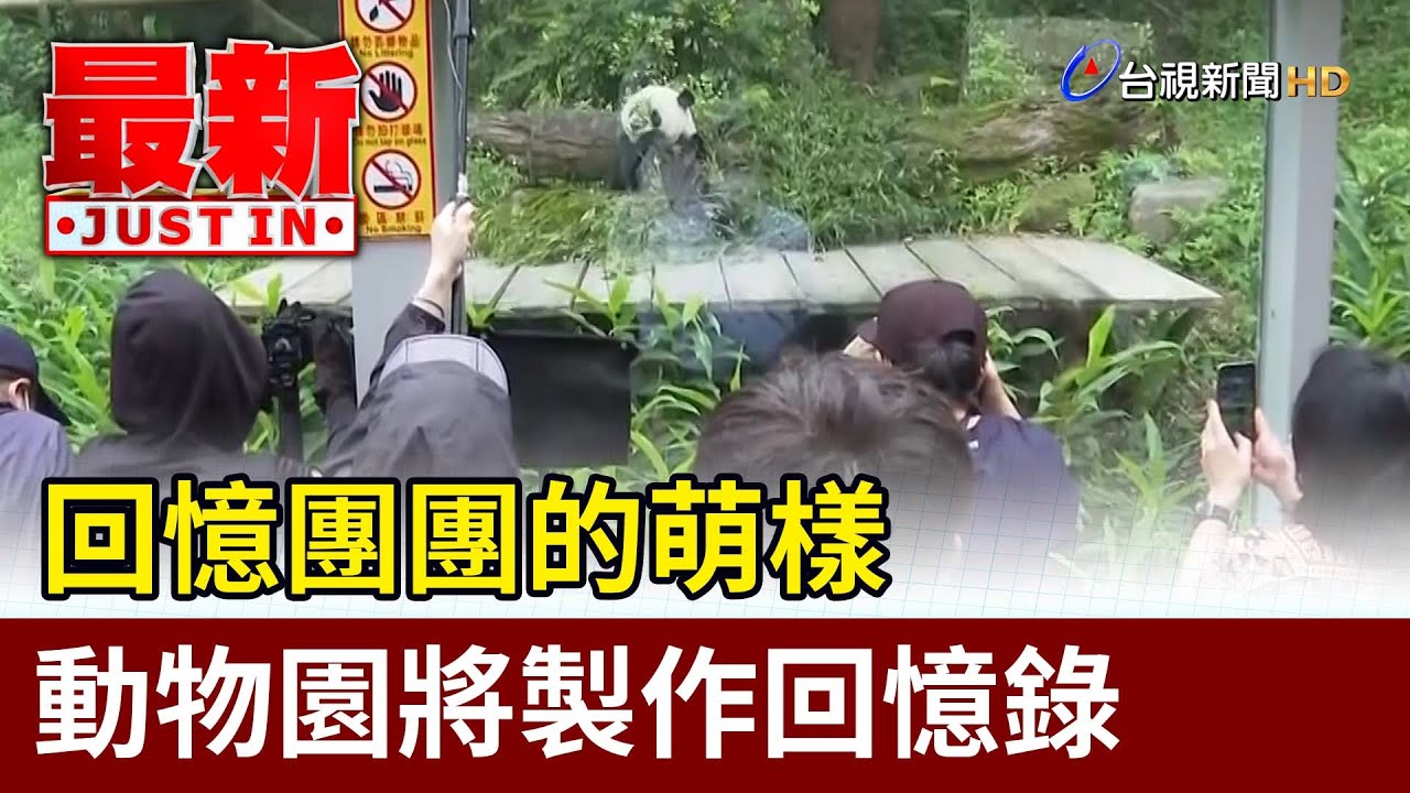 回憶團團的萌樣 動物園將製作回憶錄【最新快訊】
