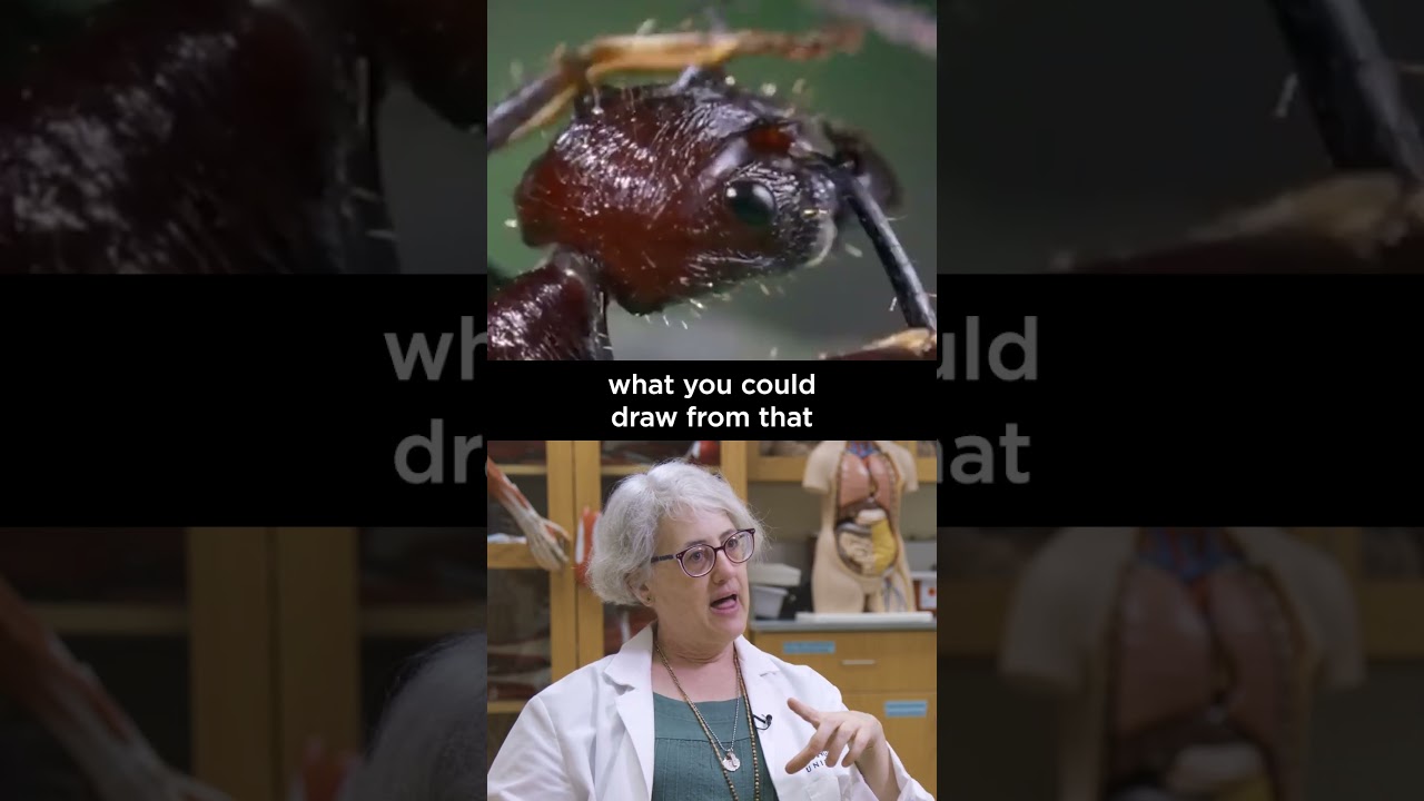 Can Cordyceps Evolve to Infect Humans? The Last of Us Science Explained by a Biologist #TheLastOfUs