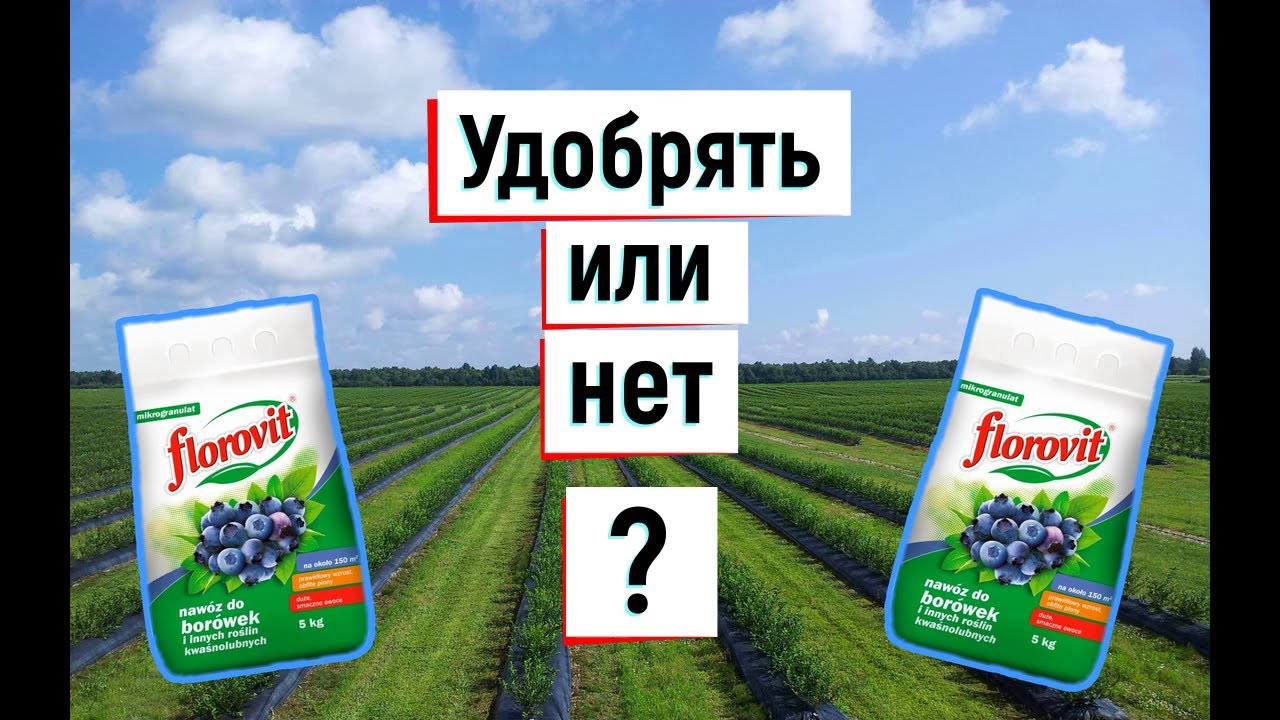 Удобрение для голубики. Florovit agro для голубики высокорослой.