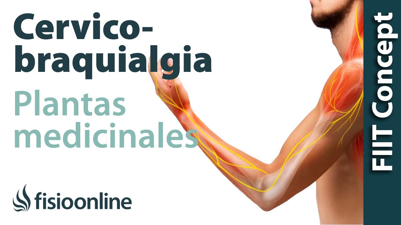 Ceervicobraquialgia derecha - Plantas medicinales y remedios naturales
