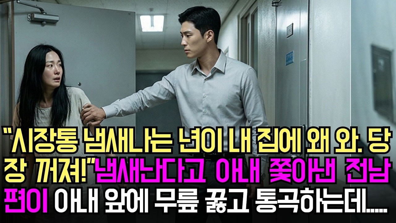 냄새난다고 내쫒은 전 아내 앞에 전남편이 무릎꿇은 사연은... 시니어 드라마|오디오사연|사이다사연